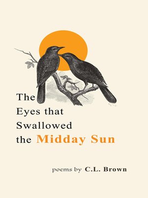 cover image of The Eyes That Swallowed the Midday Sun